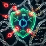 Antioxidant_survey